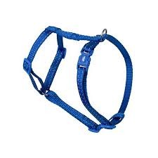 Aqua N. SZE Kot 1x26-40cm XS Regulacja Niebieskie