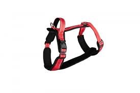 Aqua N. SZE Pies 46-63x44-54cm L Guard Czerwone