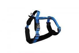 Aqua N. SZE Pies 46-63x44-54cm L Guard Niebieskie