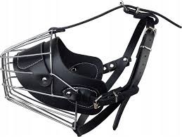 Aqua N. K Pies 32cm rozmS Kaganiec metalowy