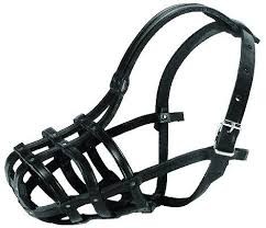 Dino K Pies 24cm Kaganiec Mały spaniel Skóra Nity