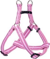 Nobleza SZE Pies 30-45cm rozmS Szelki piersiowe
