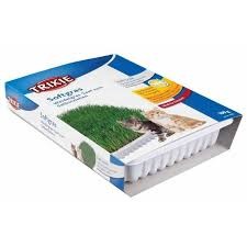 Trixie AP Kot 100g Trawa w pojemniku Pojedyńcza