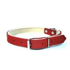 Chaba OA Pies 1,4x40cm Obroża Skórzana Czerwona