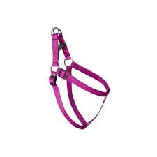 Chaba SZE Pies 1,6x43cm S Szelki Classic Fuksja