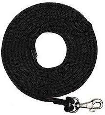 Chaba SL Pies 10mm 20m Linka treningowa Czarna