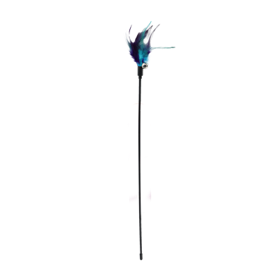 85900_7163
