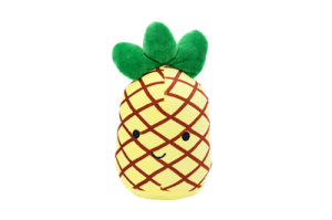 U. Z p Plusz Ananas Z Piszcz 20X10Cm