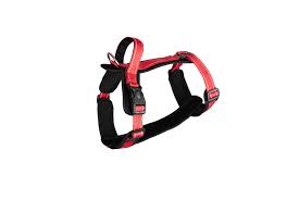 Aqua N. SZE Pies 32-40x28-36cm S Guard Czerwone