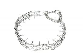 Chico KD Pies 48cm Kolczatka metalowa