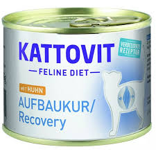 Kattovit WP Kot 185g Recovery Odporność Kurczak