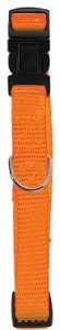 Zolux OA Pies 22-36cm Nylon Obroża Pomarańczowa