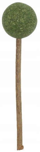 27459_20764